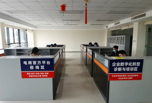 豐州鎮(zhèn)互聯網創(chuàng)業(yè)協會 疫情之下，我們提供免費服務，誠邀您加入個人互聯網創(chuàng)業(yè)行列