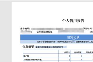 個(gè)人互聯(lián)網(wǎng)服務(wù) 周末查詢征信與利用工具實(shí)現(xiàn)信用自由指南
